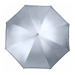 Paraguas Silver Tropic | Prisma